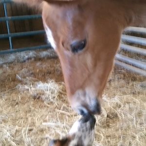 Meet your Posher, Mary zito